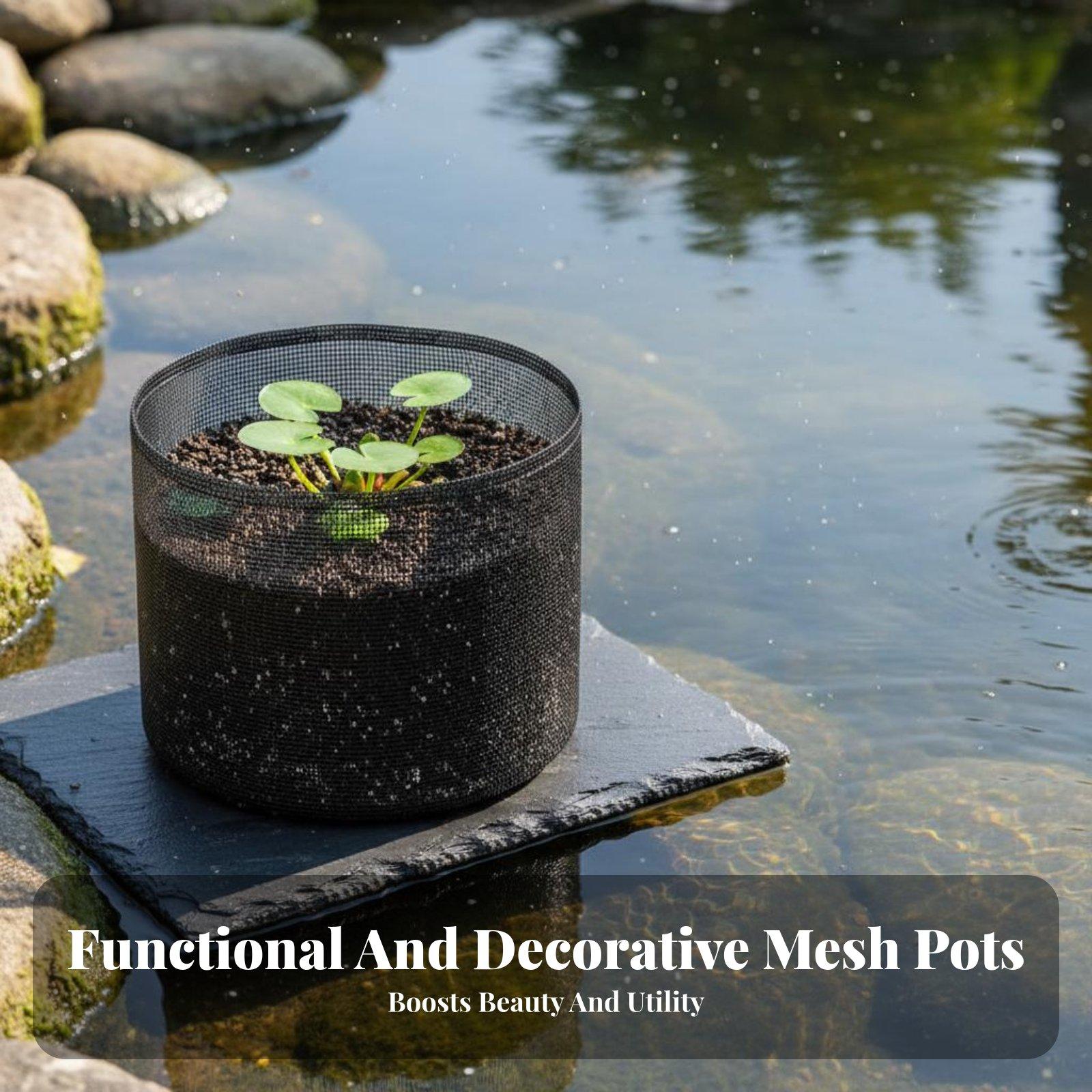 Plant Pot - 4 Parçalı Nilüfer Bitki Saksıları, Bitki