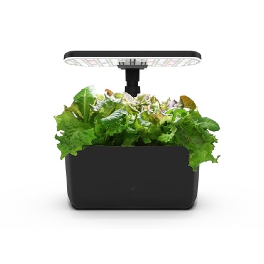 Indoor Herb Garden - Yıl boyu bitki ve sebze yetiştirmek