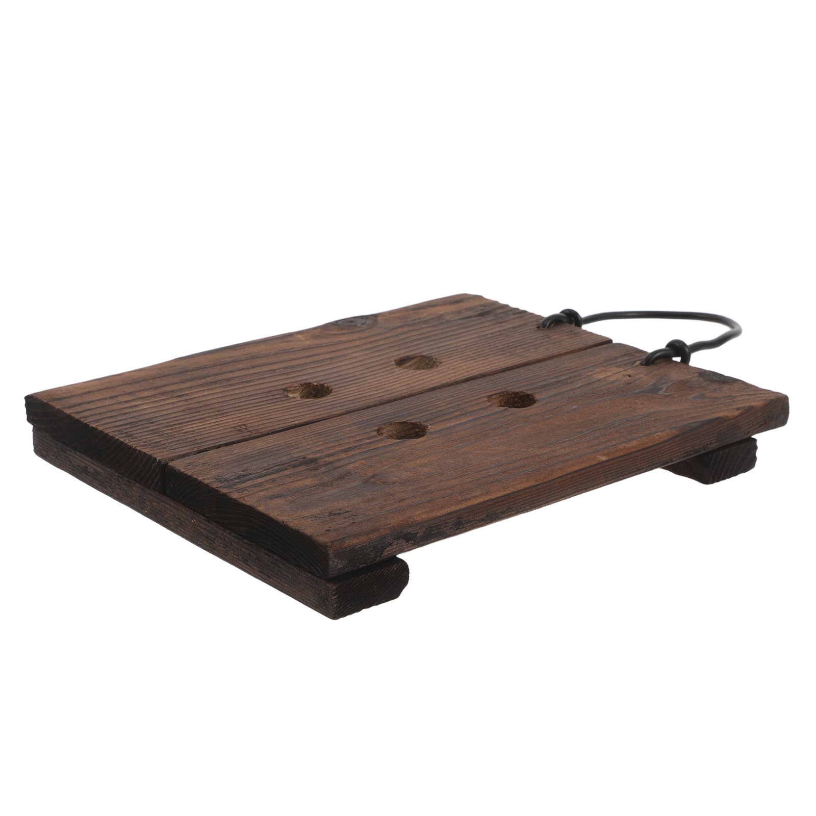 Vertical Planter - Geyik Boynuzu Şeklindeki Eğrelti Otu için