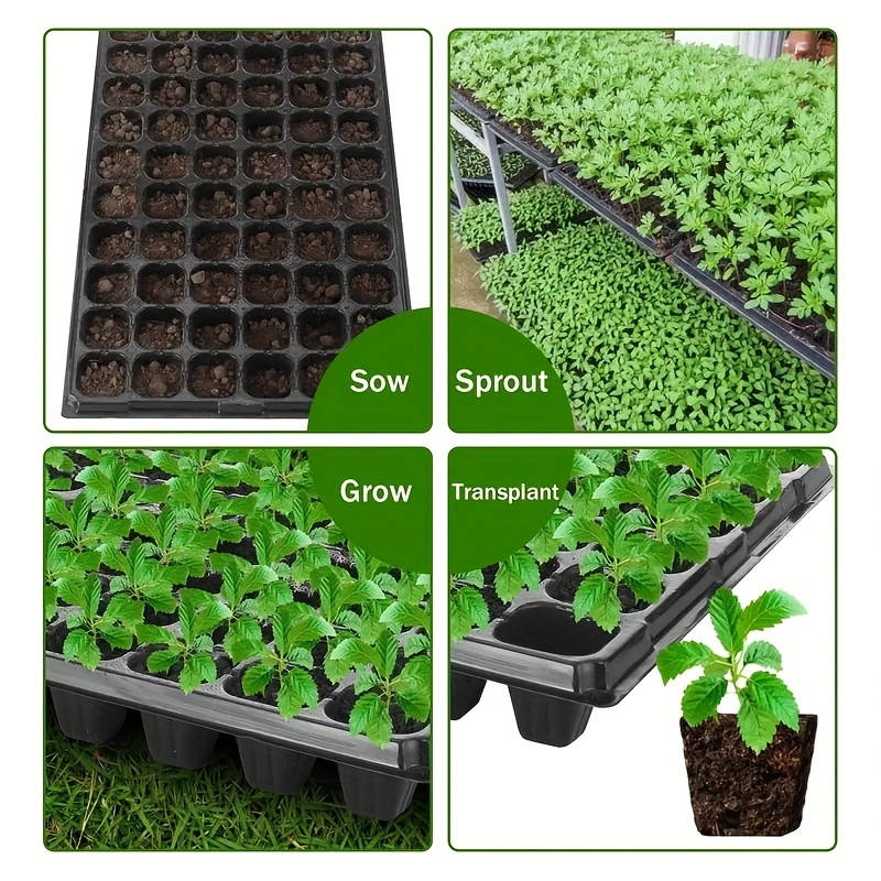 10-20'li Saksı Tepsisi, Sera Ç - Seed Starter Tray incelemesi ve fiyatı