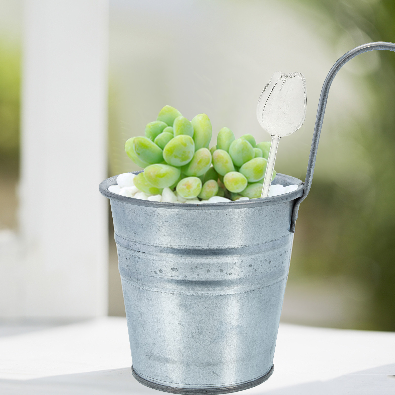 2 Adet Yüksek Kaliteli Borosil - Self Watering Planter incelemesi ve fiyatı