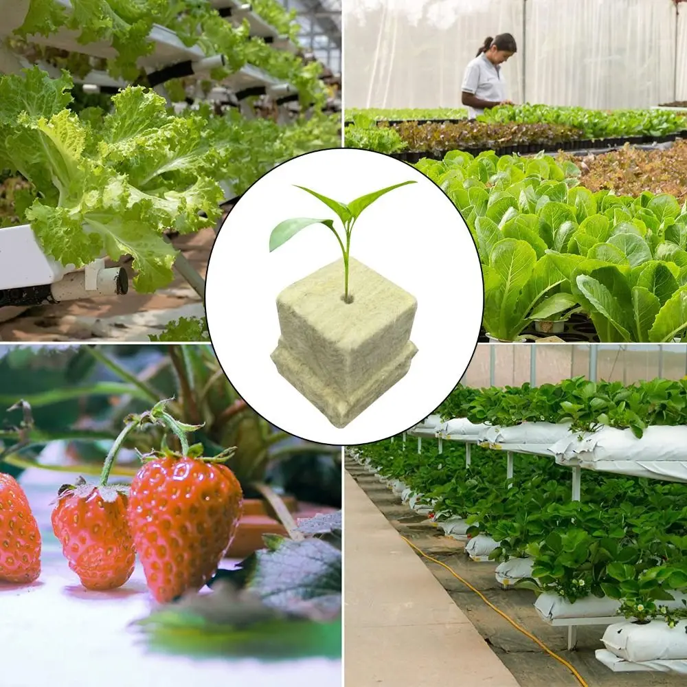 36/50 Adet Tohum Başlangıç Küp - Seed Starter Tray incelemesi ve fiyatı
