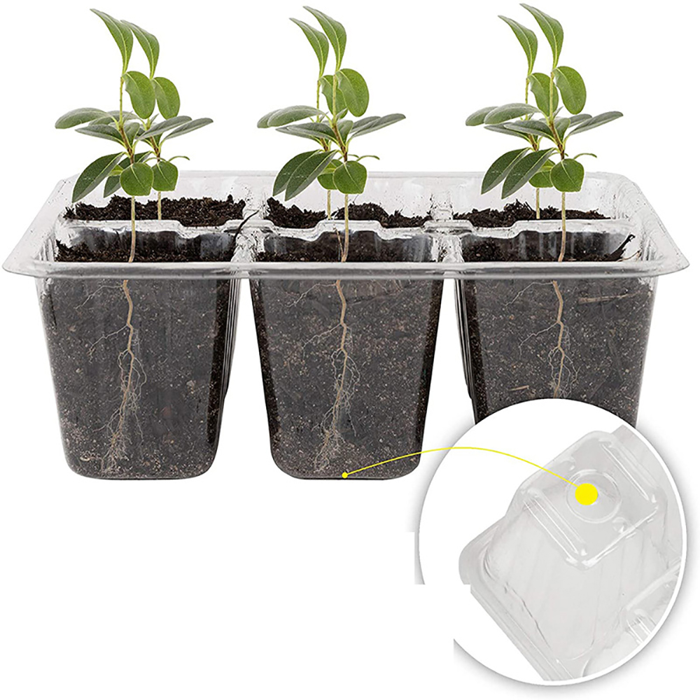 Büyümek ışık ile tohum başlang - Seed Starter Tray incelemesi ve fiyatı