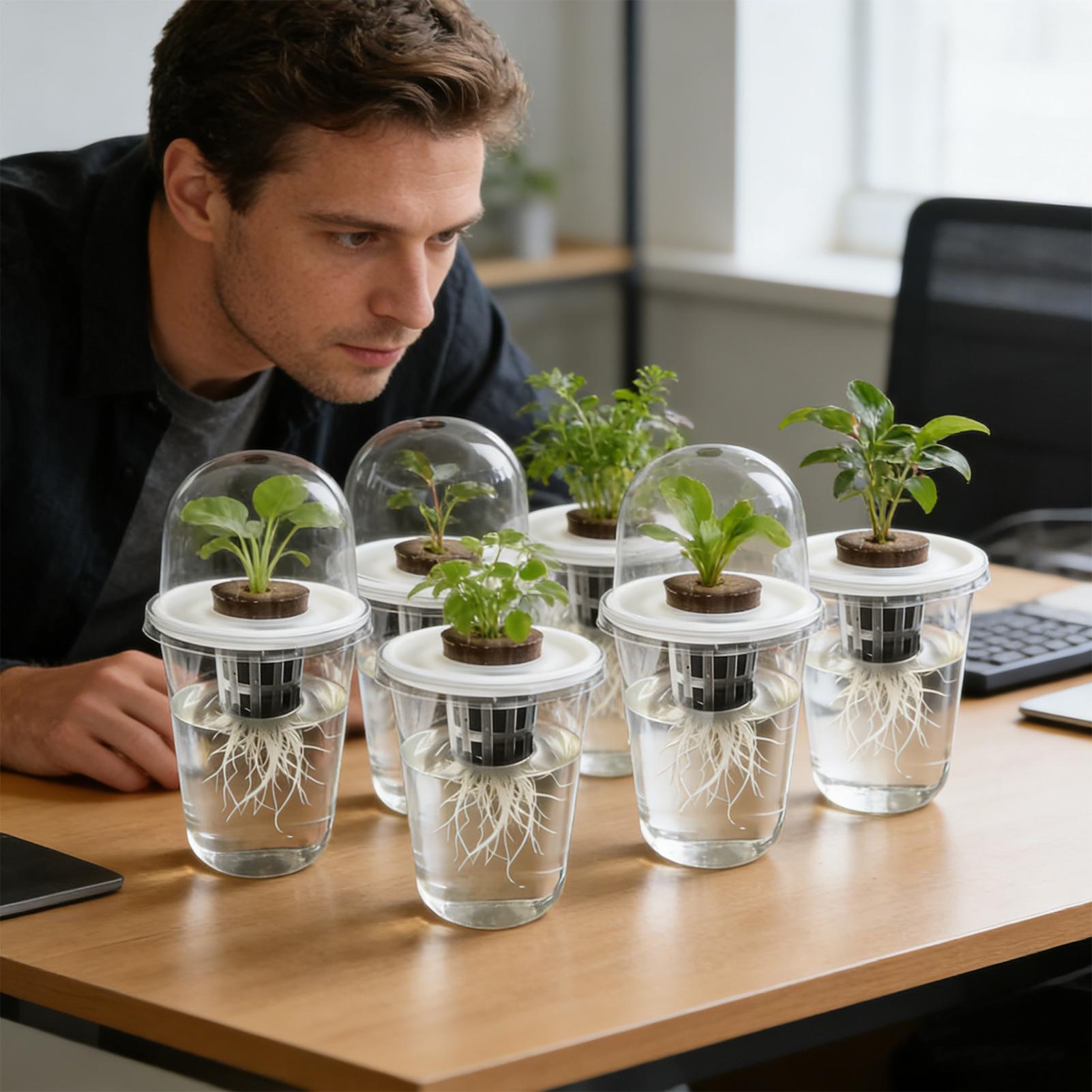 1-5 adet Görünür Şeffaf Bitki  - Seed Starter Tray incelemesi ve fiyatı