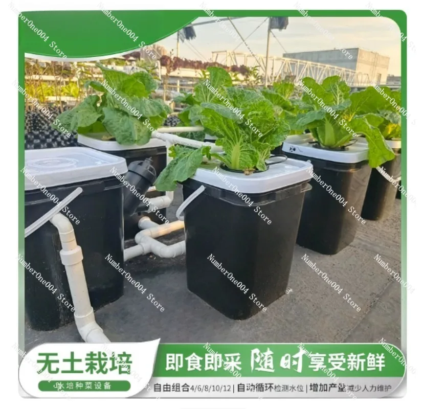 RDWC Ev Balkonu Hidroponik Yet - Hydroponic Kit incelemesi ve fiyatı