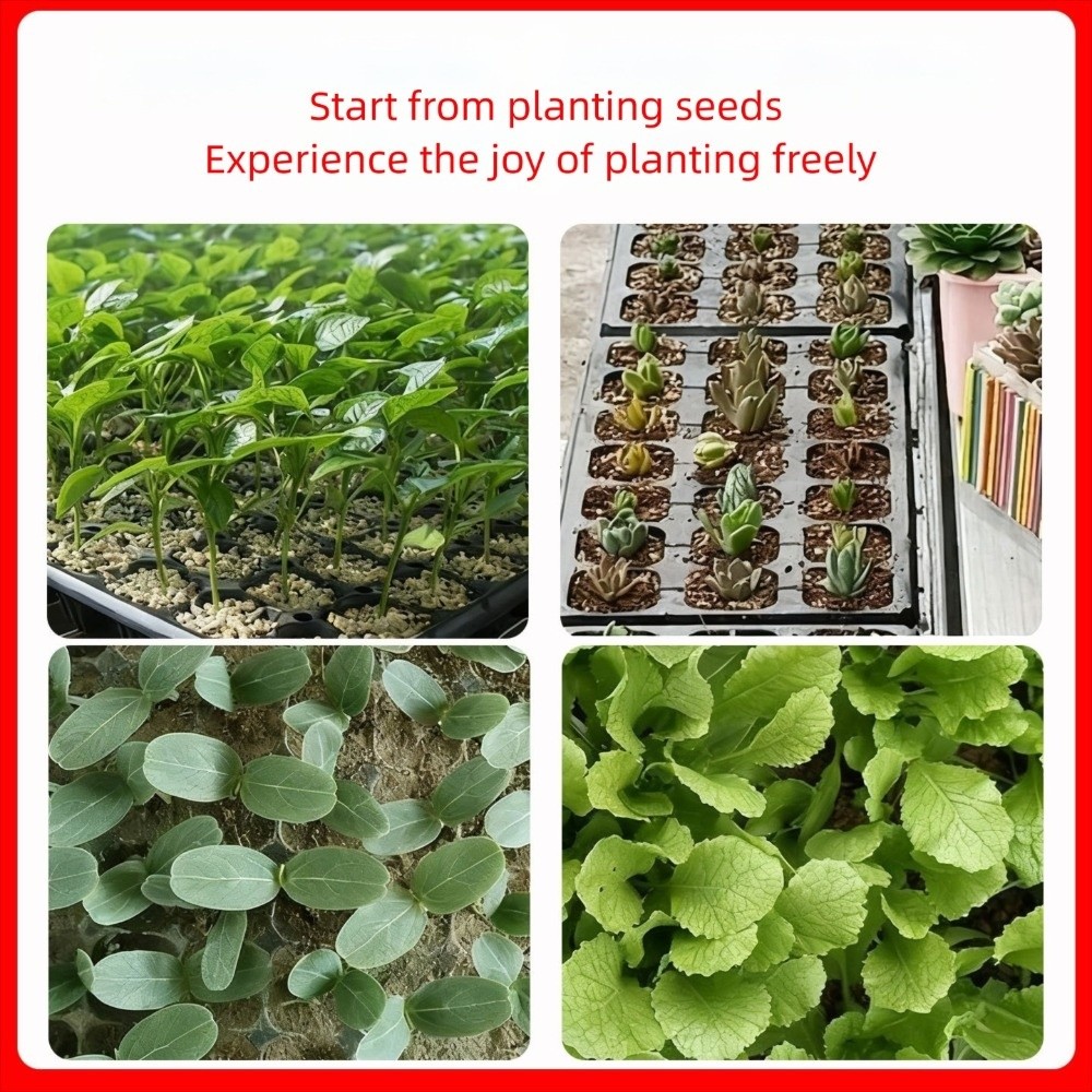 2 adet 54*28cm Tohumlama Fidan - Seed Starter Tray incelemesi ve fiyatı